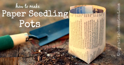 how to start seeds, small garden ideas