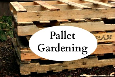 How to Create a Pallet Garden