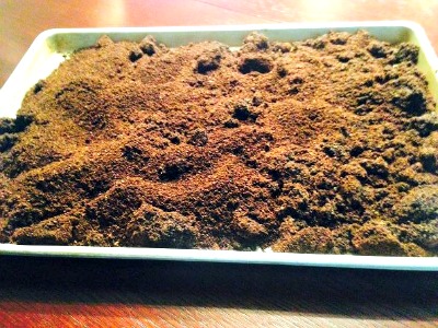 How to Prepare Leftover Coffee Grounds for the Garden