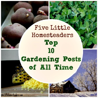 Top 10 Gardening Posts