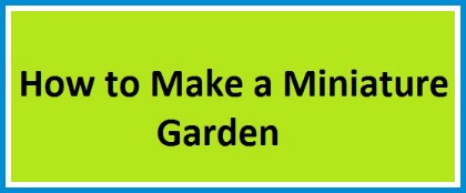 How to Make a Mini Garden 