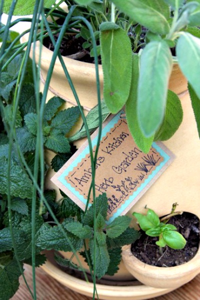 13 Tips for Planting an Herb Garden