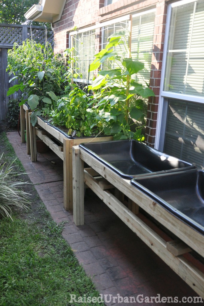 How to Make A Raised Bed Garden in a Small Garden Space