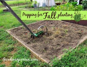 Prepping for Fall Planting and Gardening
