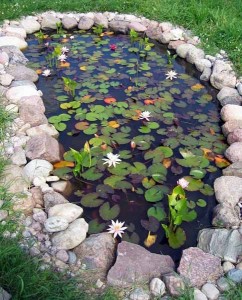 6 Amazing Garden Ponds