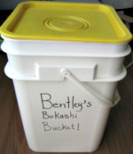 Everything You Need to Know About Bokashi Composting