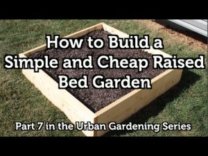 How to Build a Wood Raised Bed Garden for Beginners 