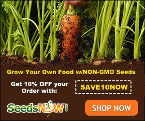 Seeds Nows Discount 