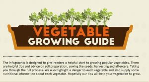 Vegetable Growing Guide