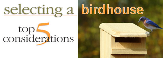 Selecting a Birdhouse