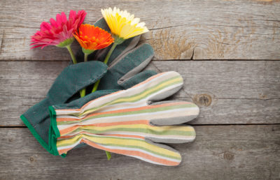 How to Select Garden Gloves
