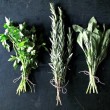 How to Dry Your Herbs