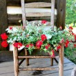 How to Convert a Wooden Chair into a Planter