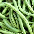 Green Beans in Containers