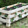 How to Make a Strawberry Pallet Planter (Includes a Video!)