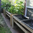 How to Make A Raised Bed Garden in a Small Garden Space