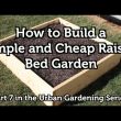 How to Build a Wood Raised Bed Garden for Beginners